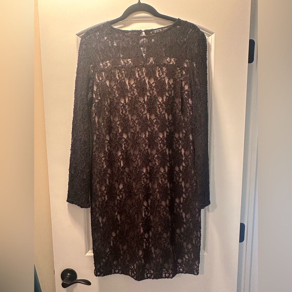 Zara Brown and Cream Illusion Lace Sheath Dress
